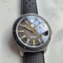 san martin diver Image 4