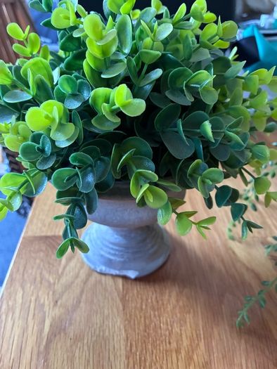 Bundle of 5 Artificial Trailing Plants (IKEA Fejka & Dunnes Stores)