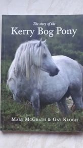 kerry bog pony