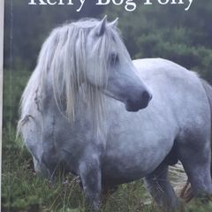 kerry bog pony