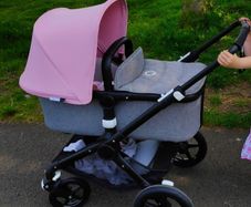 Bugaboo Fox Grey Melange & pink