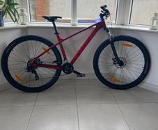 Trek bike