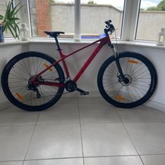 Trek bike