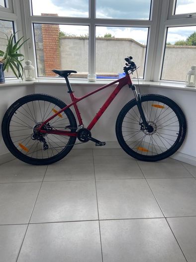 Trek bike