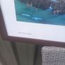 Framed print of Killarney lakes from Lake Hotel, D18 Image 4