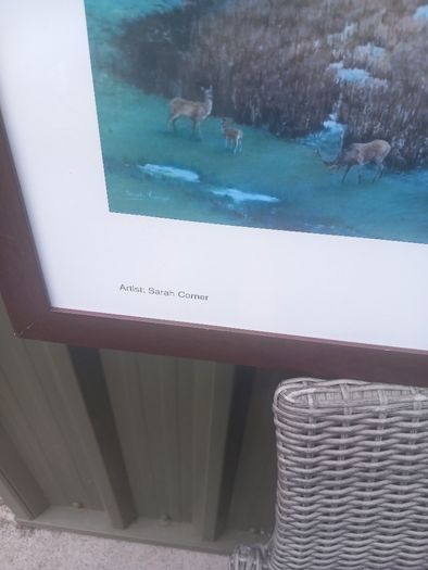 Framed print of Killarney lakes from Lake Hotel, D18