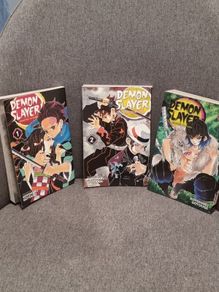 Demon Slayer 1.2 and 7