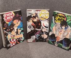 Demon Slayer 1.2 and 7