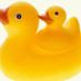 Duck05