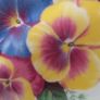 Stunning Vintage Dorchester Finest Bone China 21 Piece Teaset in a Fabulous Multicoloured Pansy Pattern in Excellent Condition Image 10