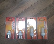 bulbs
