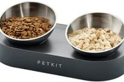 elevated feeding bowls