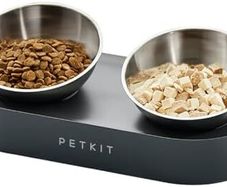 elevated feeding bowls