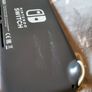 Nintendo Lite Image 8