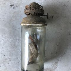 Antique Paraffin lamp