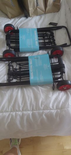 Festival  Trolley