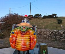 Coin operated children's ride