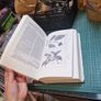 A Modern Herbal by Mrs. M. Grieve Image 5