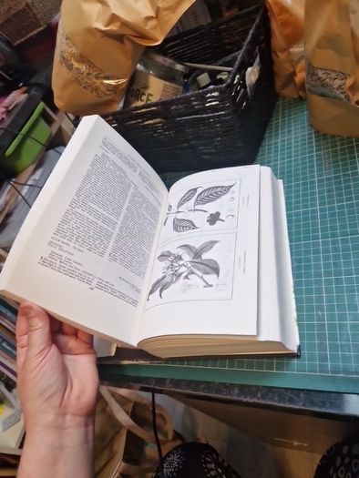 A Modern Herbal by Mrs. M. Grieve