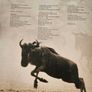 The Living Planet by David Attenborough 1985 Image 9