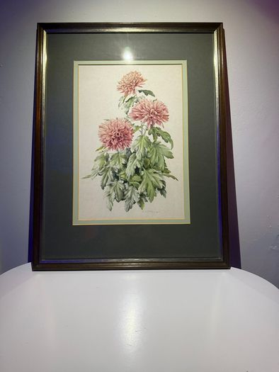Original watercolour by Elizabeth A. McEwen RUA (1937- 2020), Belfast botanical artist.