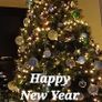 Christmas Tree Image 5