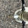 Propane Gas Regulator Image 3