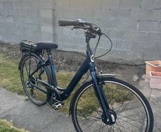 Electric Bike - Giant ease-e+
