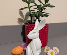 Some-bunny to Love