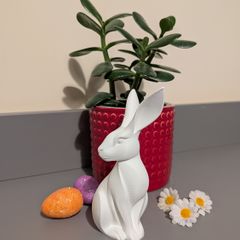 Some-bunny to Love