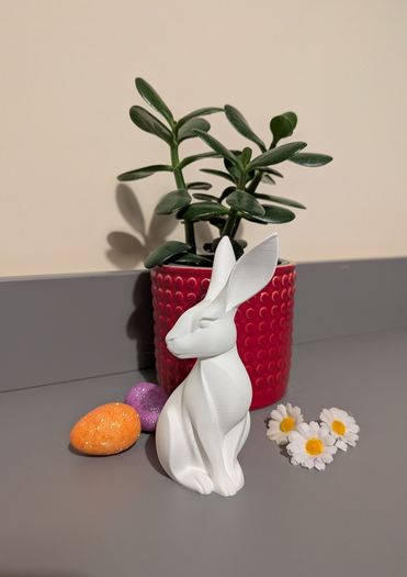 Some-bunny to Love