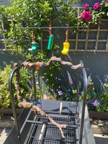 Bird Table