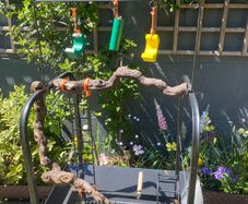 Bird Table