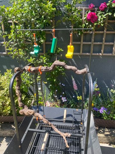Bird Table