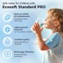 Reverse osmosis water filter with mineralization Image 6