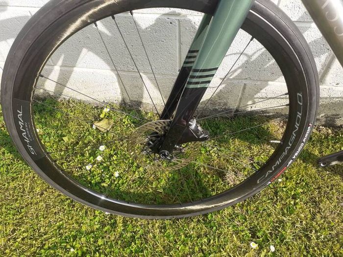 Campagnola Shamal Disc Brake Wheelset fitted with Vittoria Corsa Graphene 2.0 Tyres and Tubes, have Ridden 100kmh Total