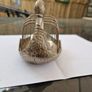 1930s  Silver plated  Swan Toast Rack Image 2