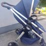 Buggy Image 2