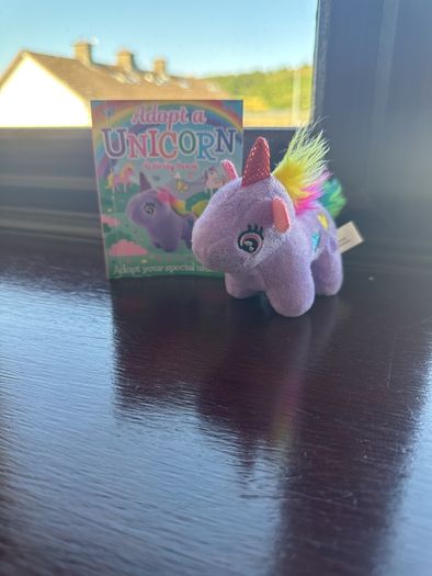 Unicorn teddy with activity booklet