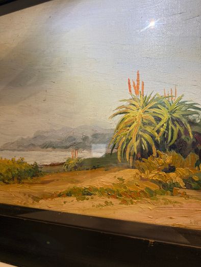 John Williams signed original oil painting - Coastal landscape with Aloes