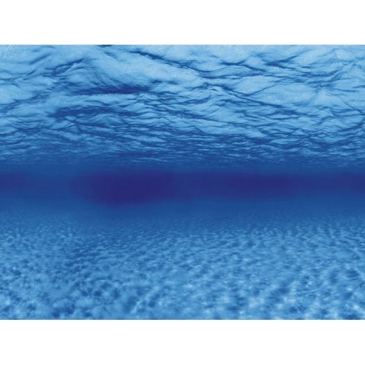 Tree roots/water background 100x50cm
