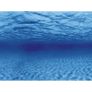 Tree roots/water background 150x60cm Image 2