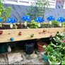 Set of 6 Blue Solar Garden Lights, Solar Powered Mushroom Stake Lights for Outdoor Decor, Waterproof Garden Ornaments for Backyard Lawn Pathway Landscape Fence Christmas Halloween Yard Decor (FREE SHIPPING) Image 4