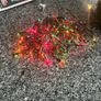 7 ft Christmas Tree very good condition also two sets of lights Image 3