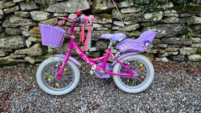 Girls Raleigh Molli Pedal Bike