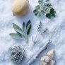 Experience an icy freshness that redefines the concept of a summer fragrance Image 3