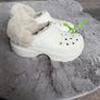 Beige Crocs Stomp Clogs Fuzz Lined Size UK 6-7/EU 39-40With Tags Image 5