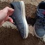 Adidas uk 6 Image 4
