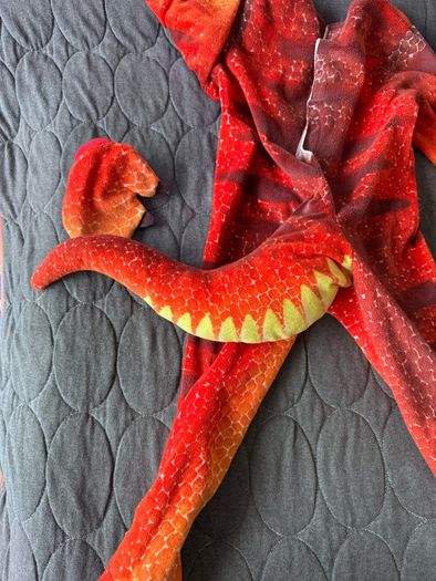 dinosaur costume