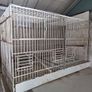 bird cages Image 4